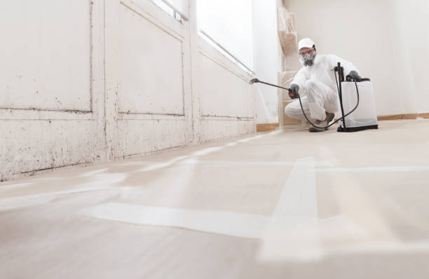 24/7 Emergency Mold Remediation experts in Vincentown, NJ
